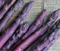 Спаржа Пасифик Перпл (Asparagus officinalis 'Pacific Purple')