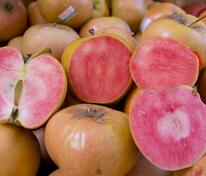 Яблоня красномякотная Пинк Перл (Malus domestica 'Pink Pearl')