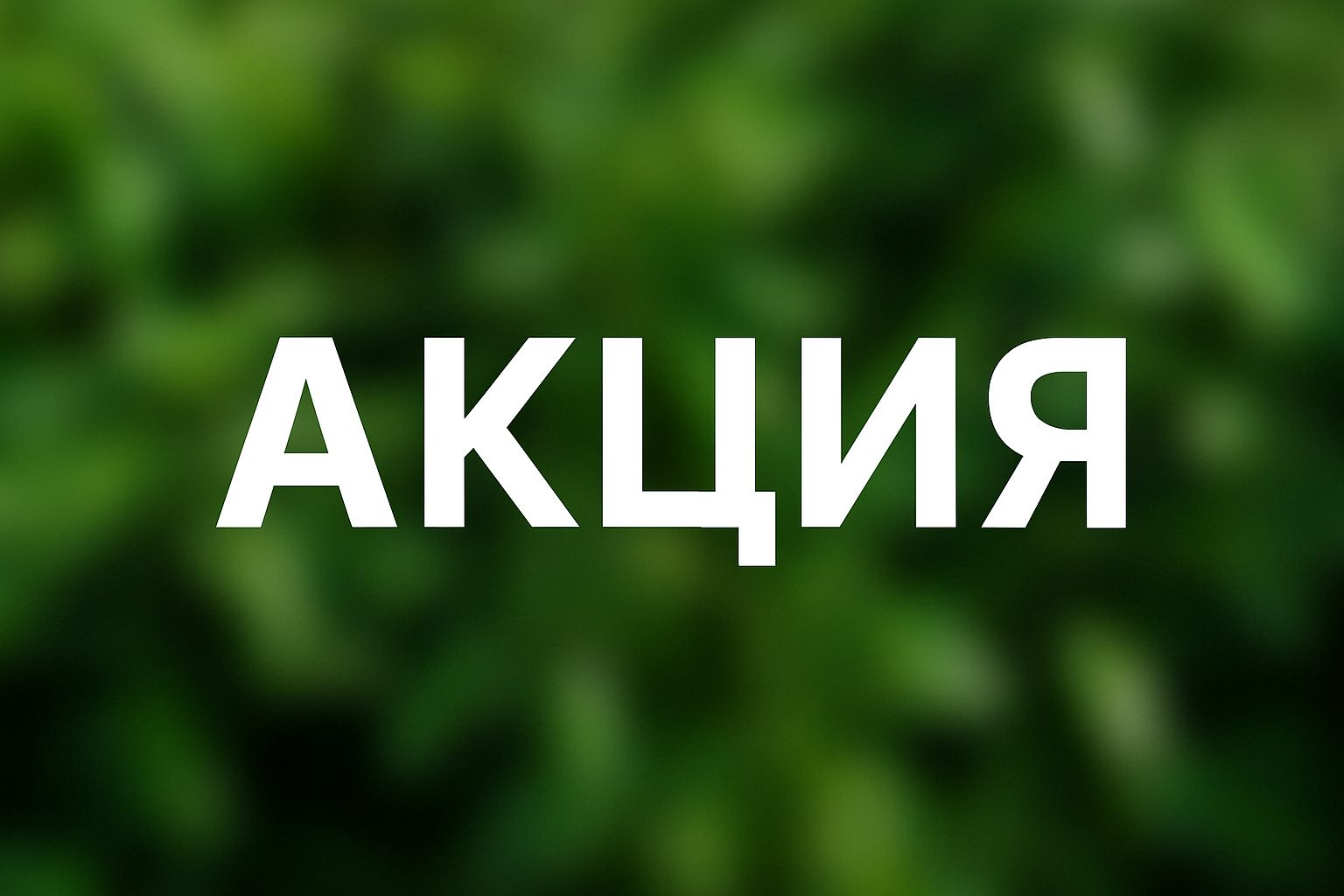 Акция на липу: саженцы ГОСТ по выгодной стоимости