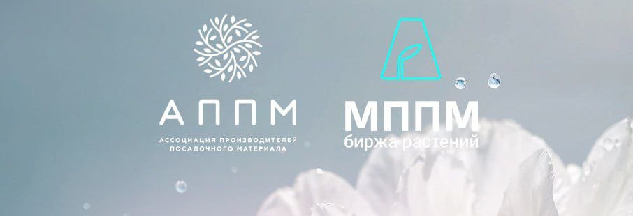 Союз АППМ И МППМ | Горзел